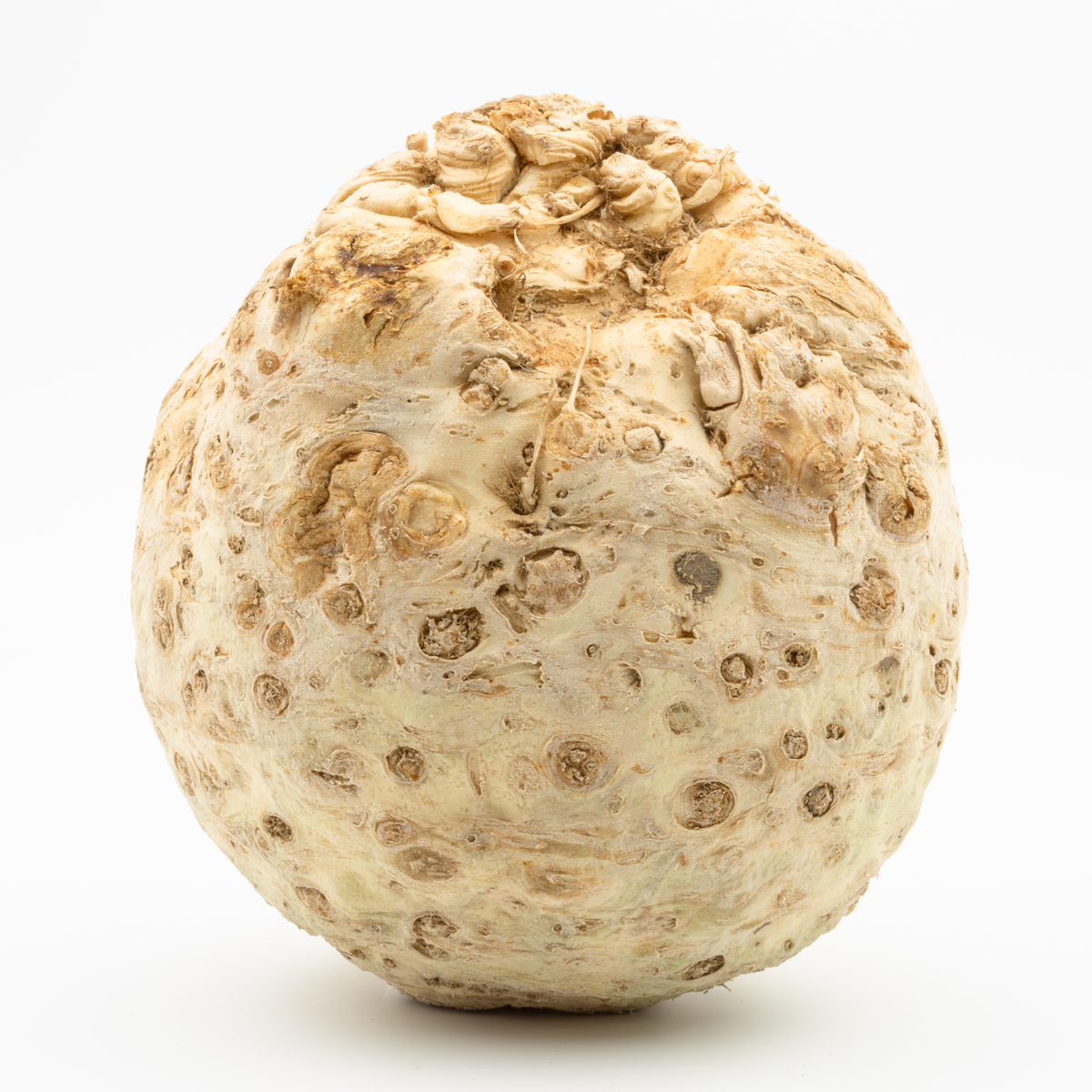 Celeriac