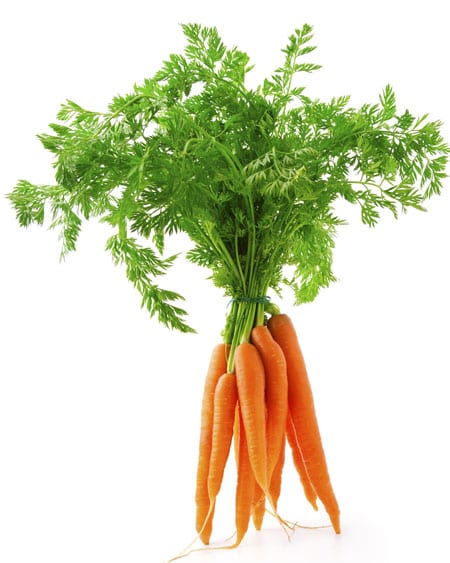 Bunched Carrots