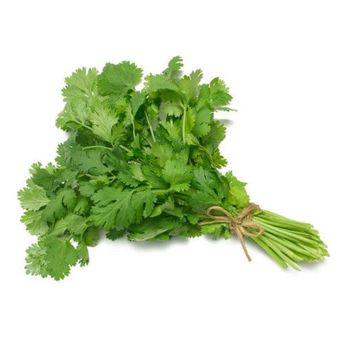 Coriander