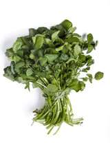 Watercress